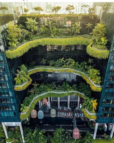فضای سبز متنوع شهری ، #سنگاپور