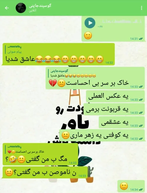 شرکت کننده ی هجدهم