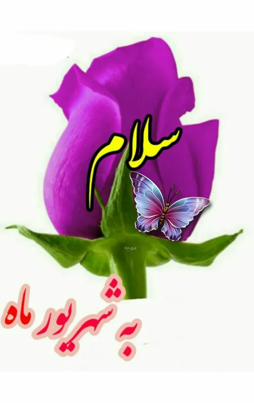 سلام به خدای یکتا🌸 🍃