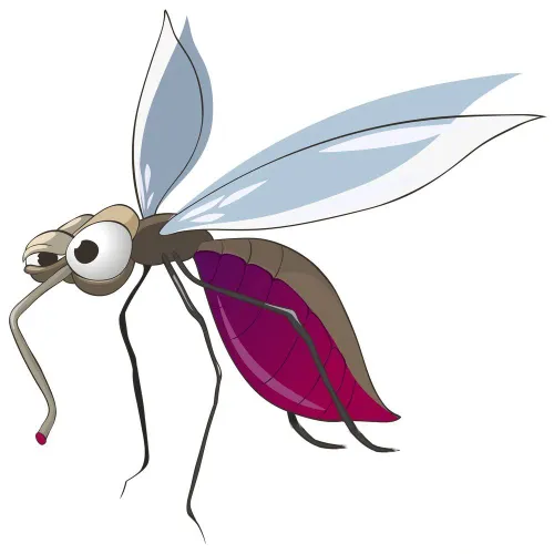 دانشمندان مهندسی ژنتیک، پشه ها را دستخوش تغییراتی کردند ک