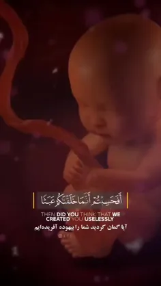 بسم الله الرحمن الرحیم 