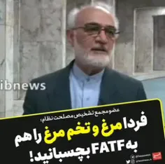 ایروانی، عضو مجمع تشخیص مصلحت نظام: اصولاً قواعد FATF شام