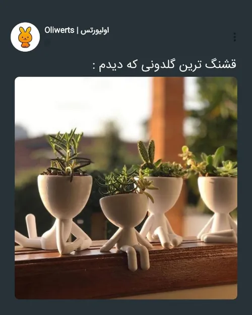 چقدر قشنگن 🥺