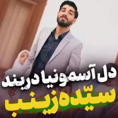 السلام علیک یا سیده زینب****