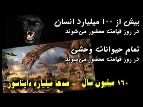 بازگشت همه بسوی اوست