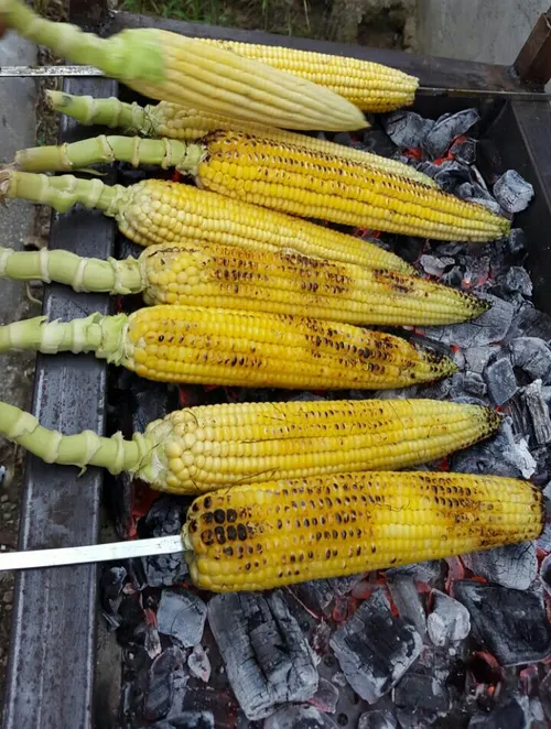 یه روز عااالی جای همه خالی