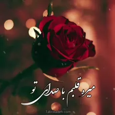 چقدر دوست دارم با تو حرف بزنم. تو ذهن به‌هم ریخته‌ام را ب