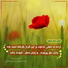 جهاد تبیین