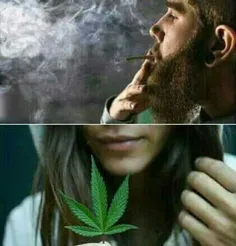 ماری جوانا عم علفع...عما مث ط هرزع نی📛 🌿 🍃 ✨