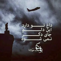 آب را گل نکنید . . . شاید از دور علمدار حسین ، مشک طفلان 