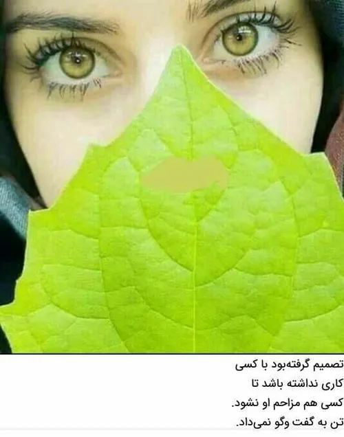 عکس نوشته