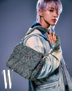 #seventeen #carat #hoshi #dk #seongkwan