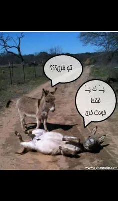 هههه