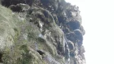 آبشار رحمت آباد دیروز تفریح اونجا بودیم جاتون خالی جای قش