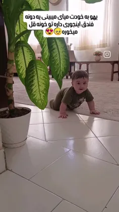 خونتون فندق بارون باشه 🥰🥰