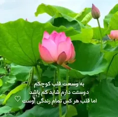 آدمهایی هستند که خوبند 