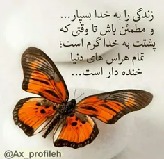 گوناگون hamedsaeli 27742920