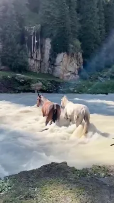 چه صحنه زیبایی😍