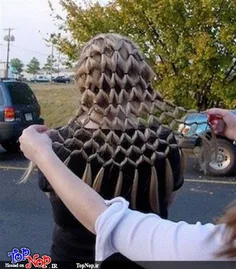 وای چه بویی