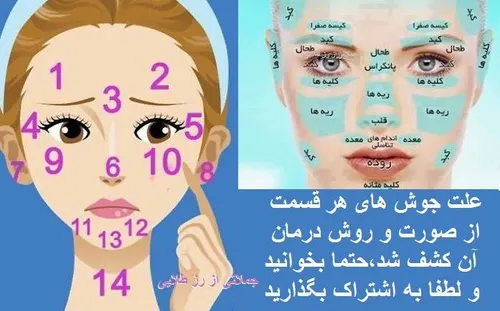 دوستان شما کدوم شماره هستید؟؟؟