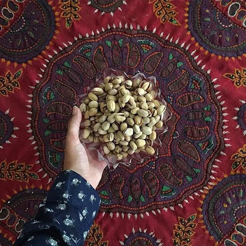 Pistachios of Rafsanjan, the contry’s center of pistachio
