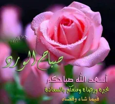 عاشقانه ها ali999999 28326717