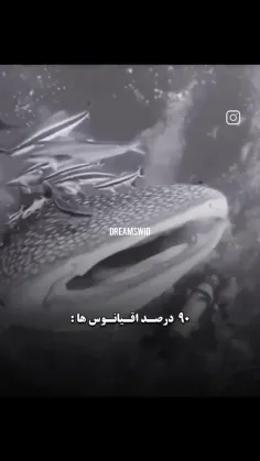 اعماق اقیانوس ها...