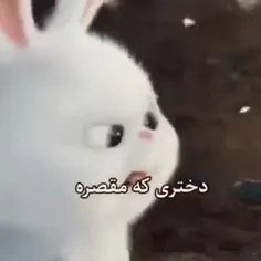 همینه که هست 😂✌🏻