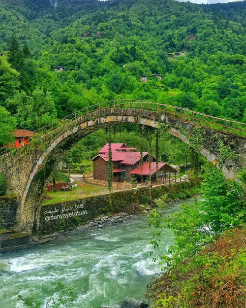 ترکیه