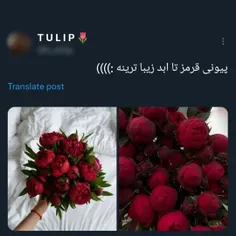 من موافقم⁦❤️⁩😗