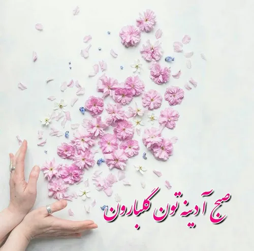 آرزو میکنم خداوند برای امروزتون🌸