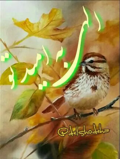 خدایـــــــــــــــا سلام