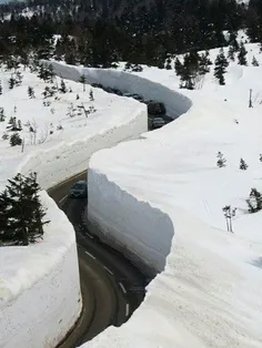 🔺 فقط تو ژاپن میتونن جاده ها رو زیر ۷ متر برف اینجوری پاک