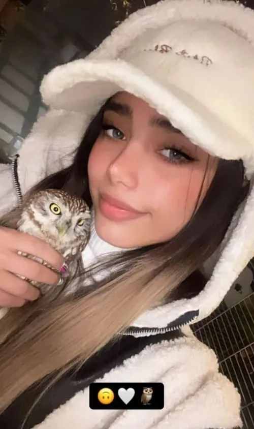 🦉🦉