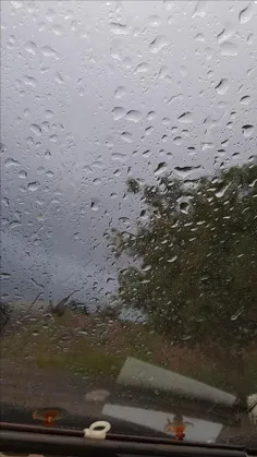 باران چه اتفاق مبارکی است!