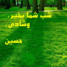 عاشقانه ها hosseinnaseri1360 13600063