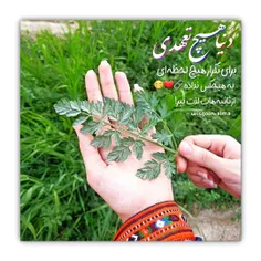 ‏من نمیگم همه چی درست میشه،