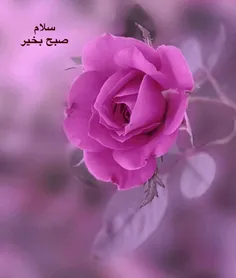 شخصی mastoureh 27627581