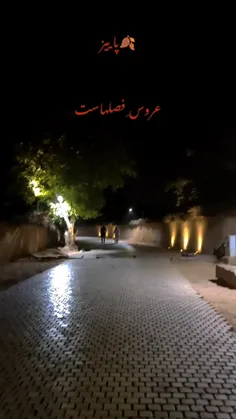 خیابان رادفر شیراز 