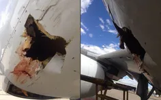 برخورد هواپیما در حال فرود با یک پرنده/ نامبیا