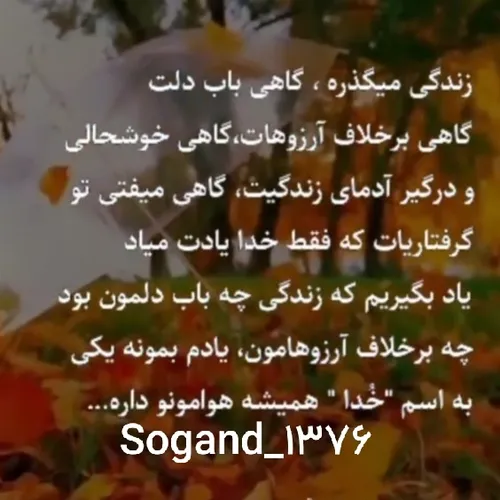  sogandam_76_13 48936014 - عکس ویسگون