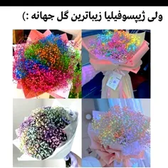 واقعا خیلی قشنگه