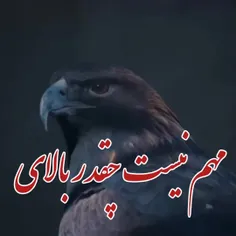 مهم نیست چقدر بالایی 😊☺️👇👍