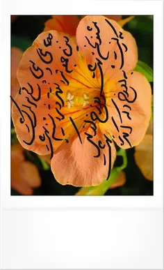 خط پدرخوب ومهربانم دوستت دارم