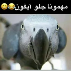 بیچاره صاحبخونه 😆😅