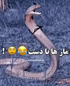 ابهت مار ها ریخت😐😂🐇👐🏻الهی