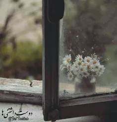 کاش گلدان پشت پنجره ات بودم