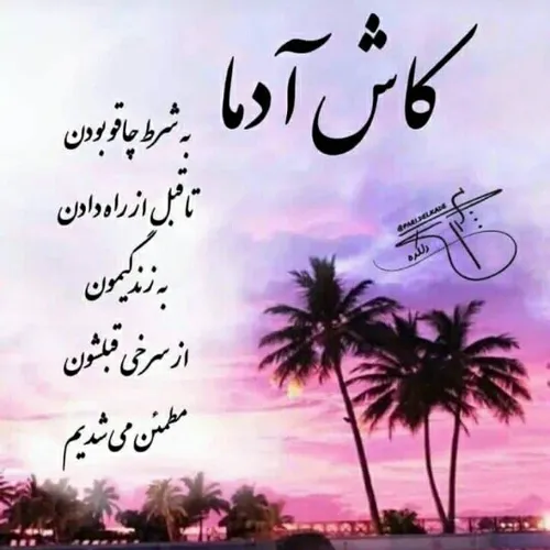  91001400 41394371 - عکس ویسگون