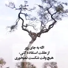 نظر شما چیه؟🖋️📌