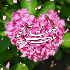 یاعلیُّ ياعلىُّ ياعلىّ 🌷